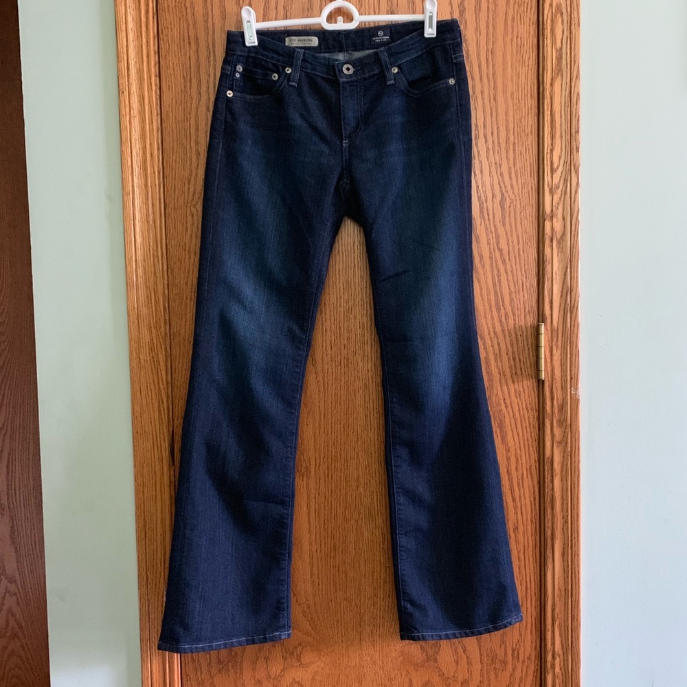 Adriano Goldschmied size 27R jeans